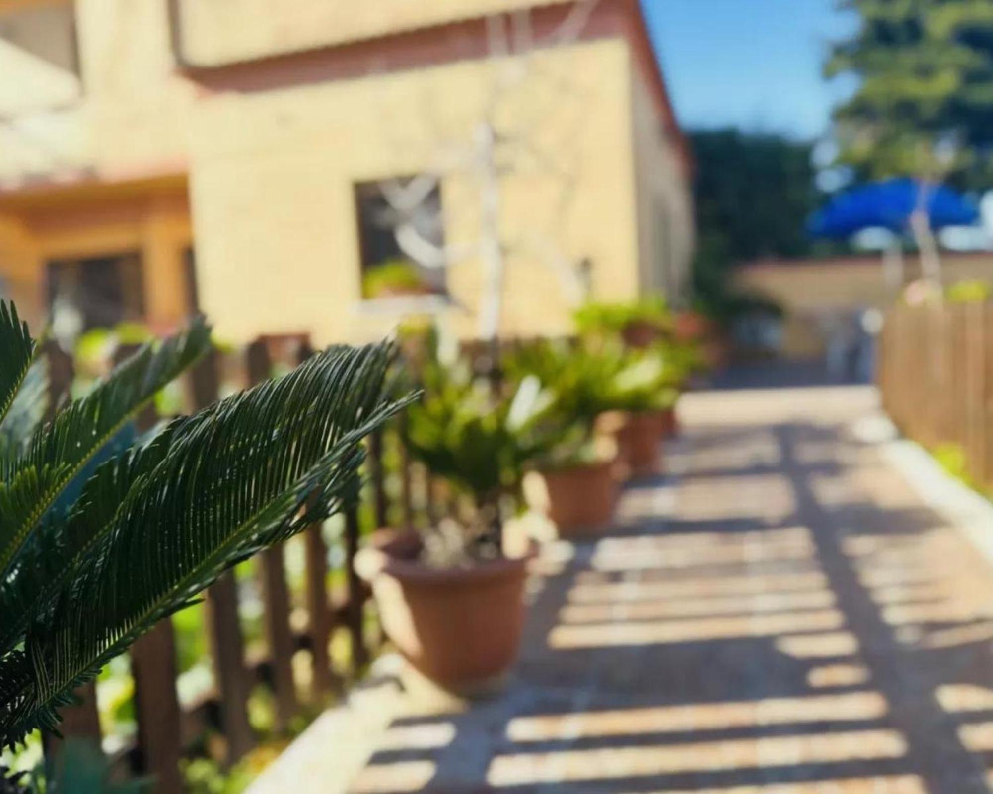 Romano House فيوميتشينو المظهر الخارجي الصورة